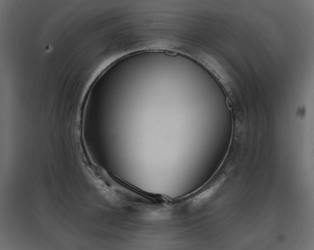 X0000097760948200803071252