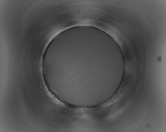 X0000097760950200803071252