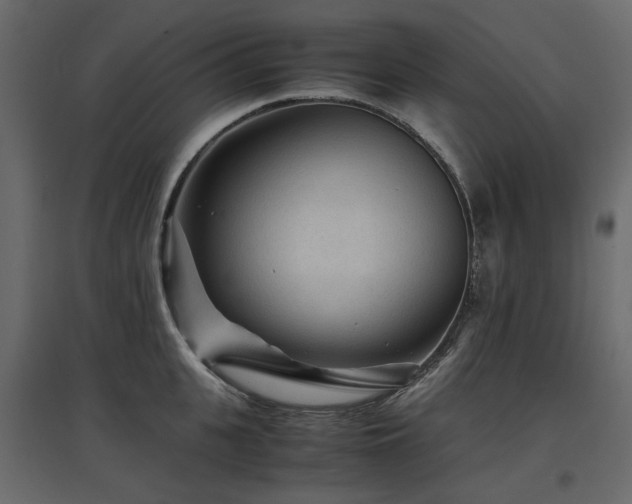 X0000097760951200803071252