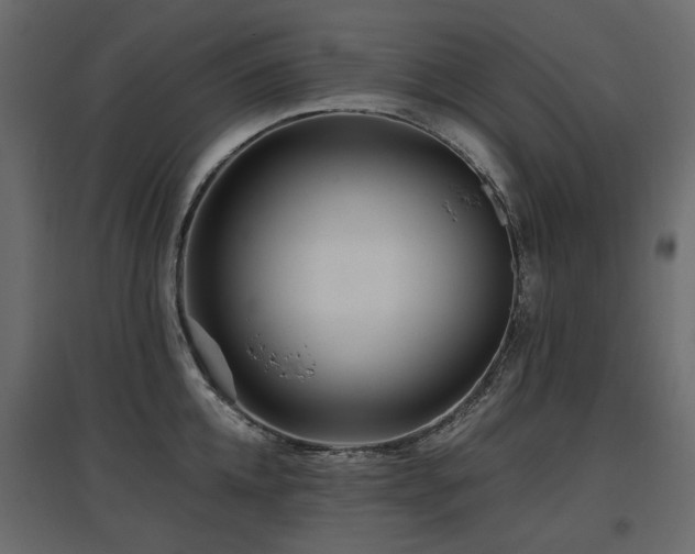 X0000097760952200803071252