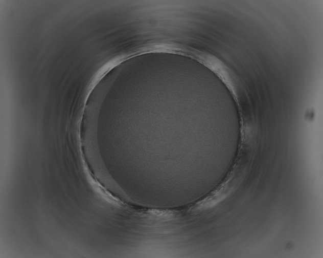 X0000097760954200803071252