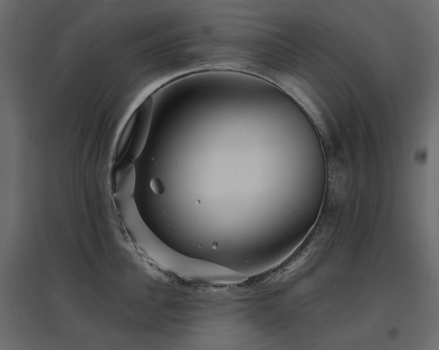 X0000097760956200803071252