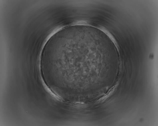 X0000097760957200803071252