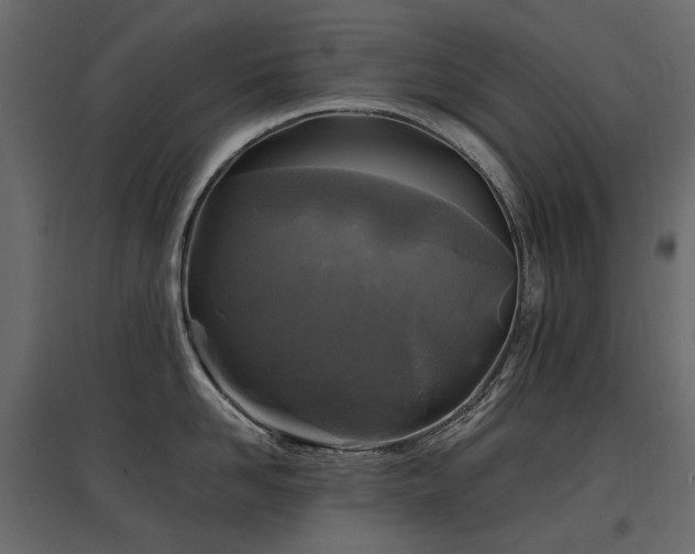 X0000097760958200803071252