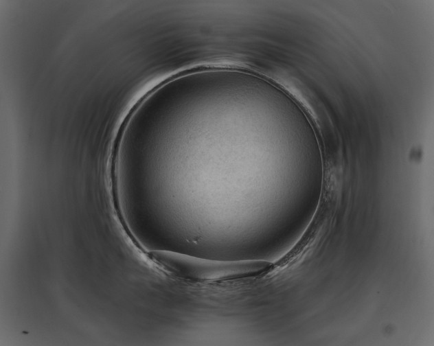 X0000097760959200803071252