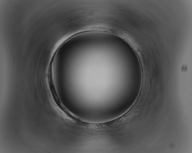X0000097760960200803071252