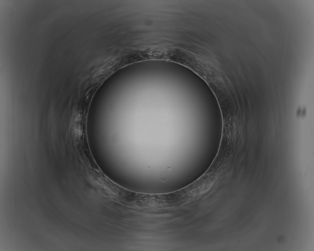 X0000097760962200803071251