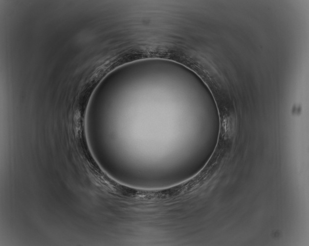 X0000097760963200803071251