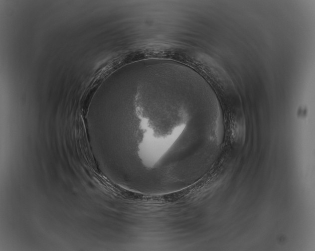 X0000097760964200803071251