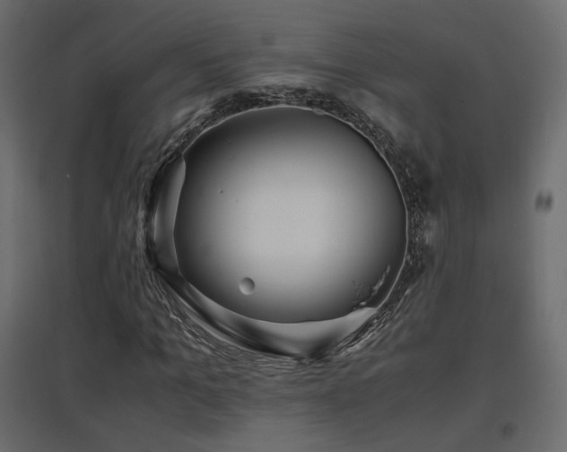 X0000097760965200803071251