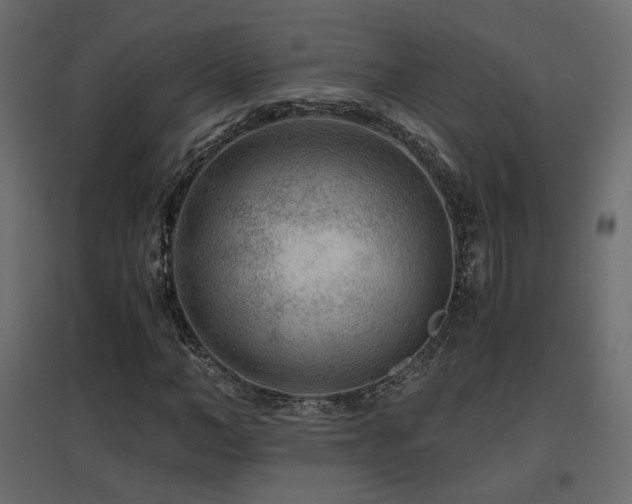 X0000097760966200803071251