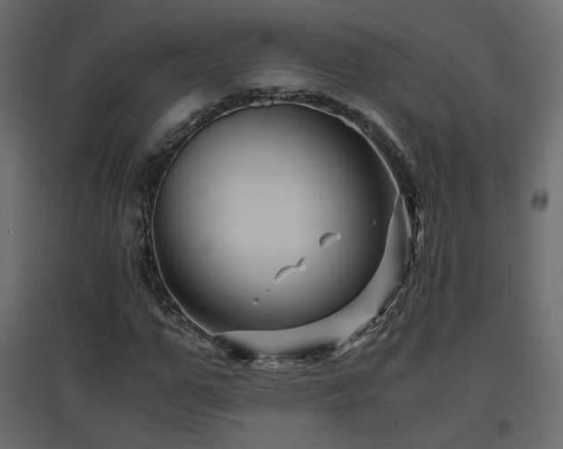 X0000097760967200803071251