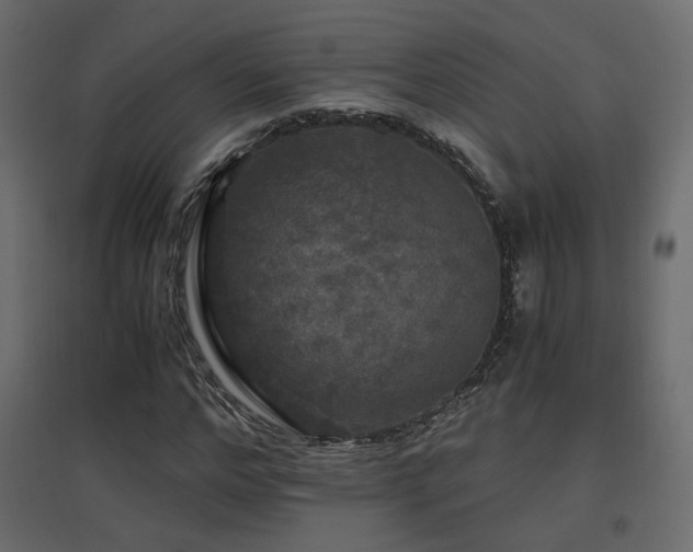 X0000097760968200803071251