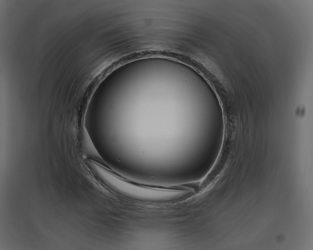 X0000097760969200803071251
