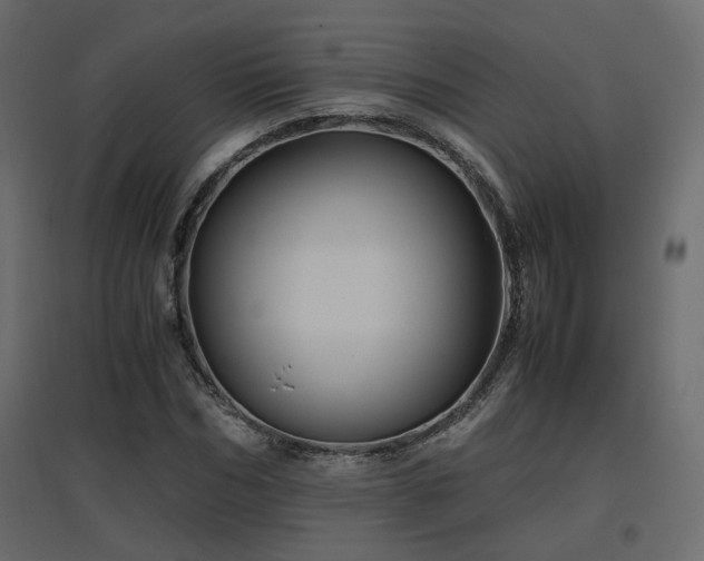 X0000097760970200803071251