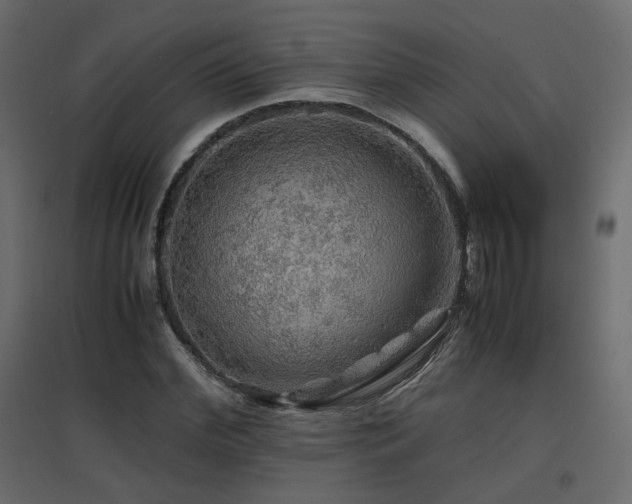 X0000097760972200803071251
