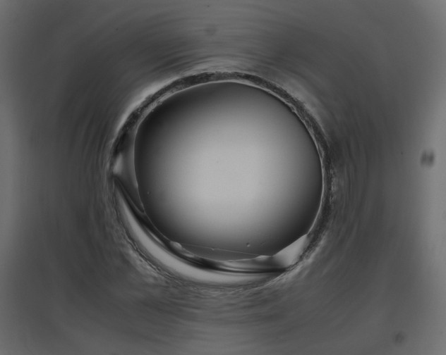 X0000097760973200803071251