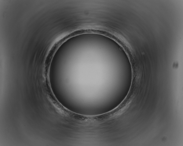 X0000097760974200803071251
