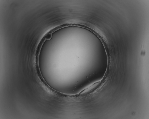 X0000097760976200803071251