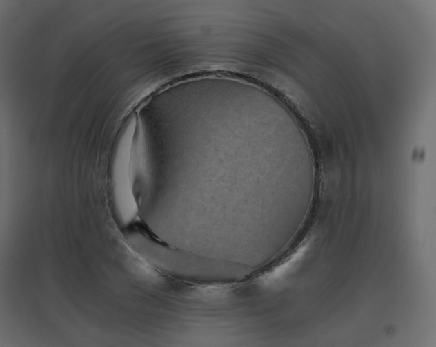 X0000097760977200803071251