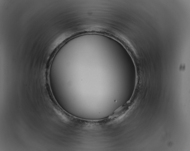 X0000097760978200803071251