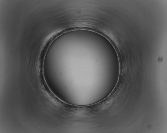 X0000097760979200803071251