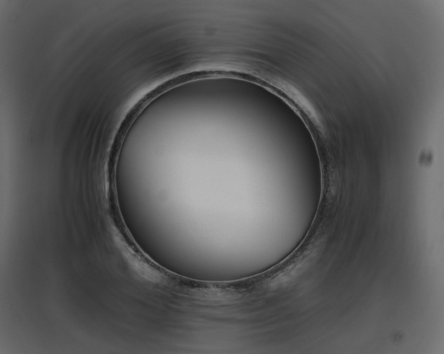 X0000097760980200803071251