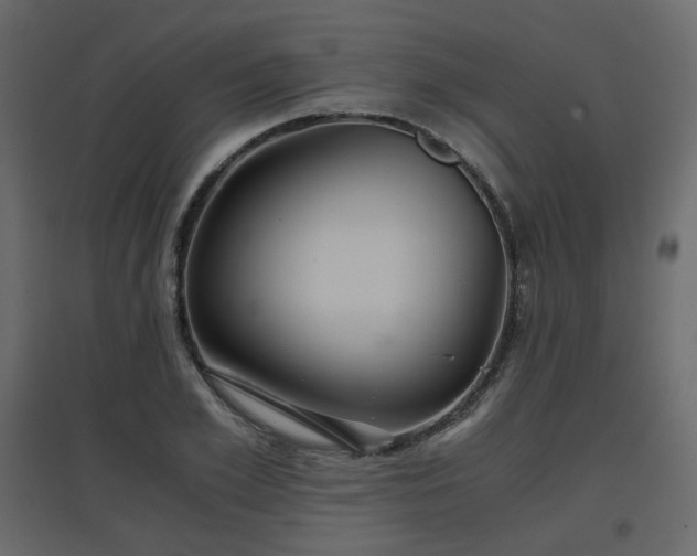 X0000097760981200803071251