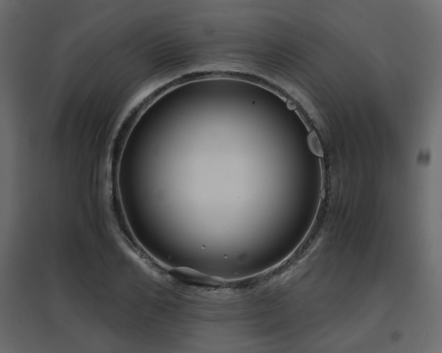 X0000097760982200803071251