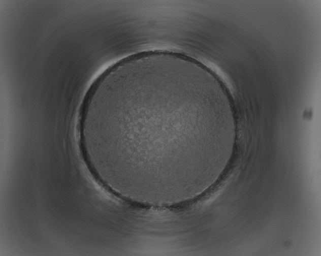 X0000097760983200803071251