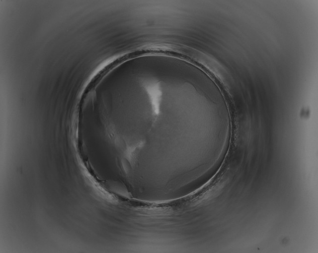 X0000097760984200803071251