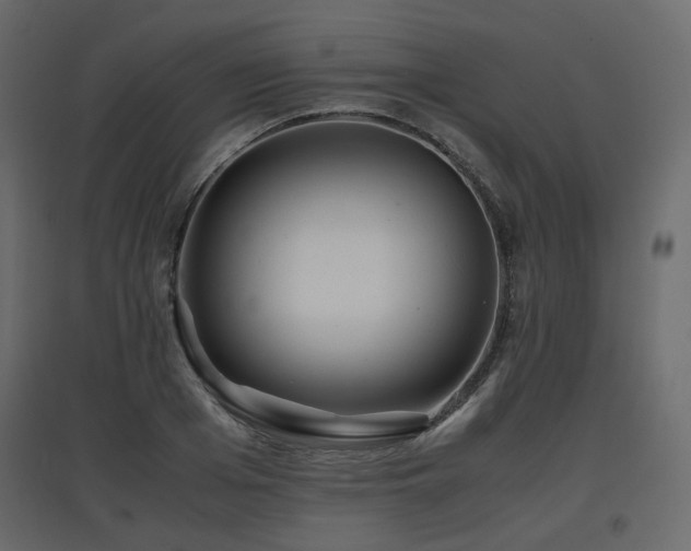 X0000097760985200803071251