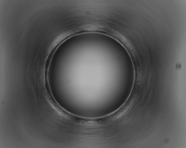 X0000097760986200803071251