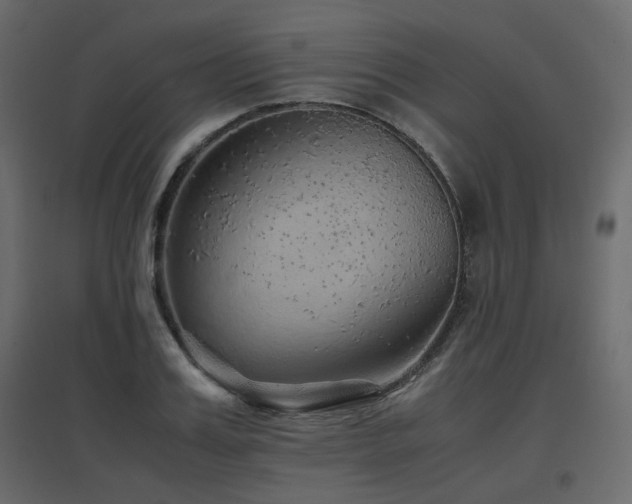 X0000097760987200803071251