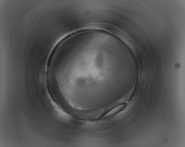 X0000097760988200803071251