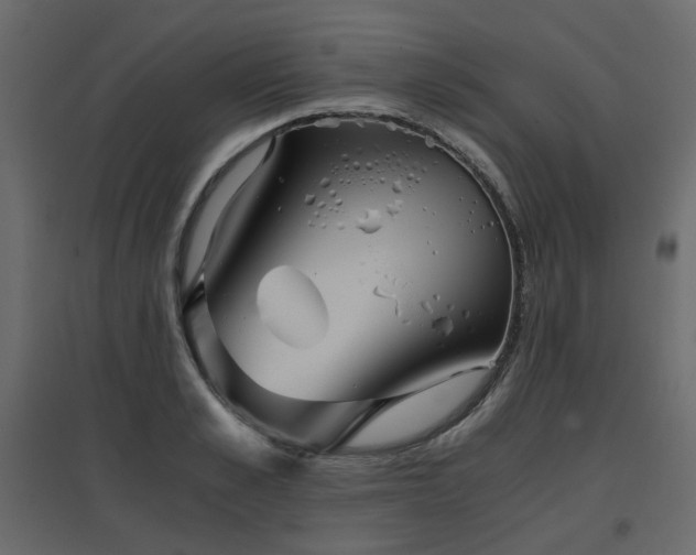 X0000097760989200803071251