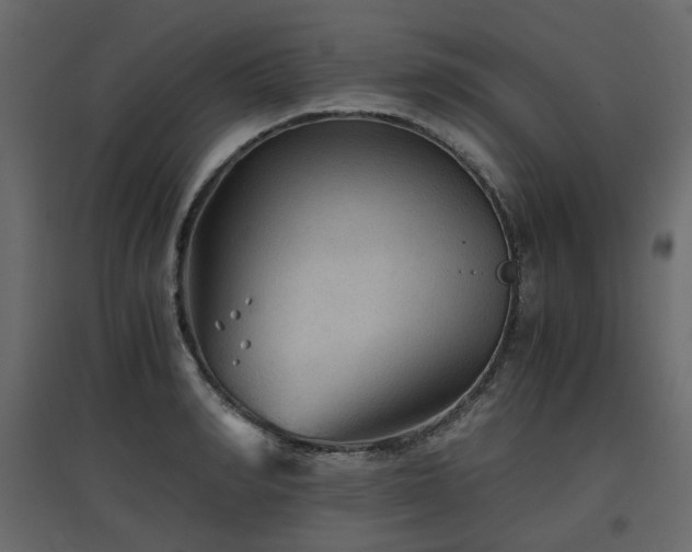 X0000097760990200803071251