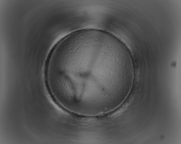 X0000097760991200803071251