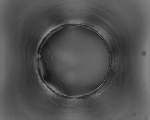 X0000097760992200803071251