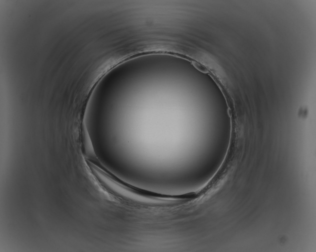 X0000097760993200803071251