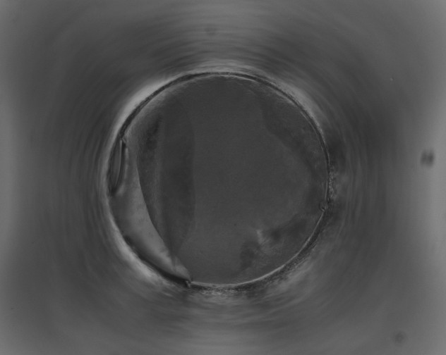 X0000097760995200803071251