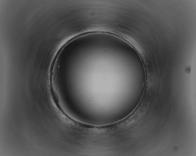 X0000097760996200803071251