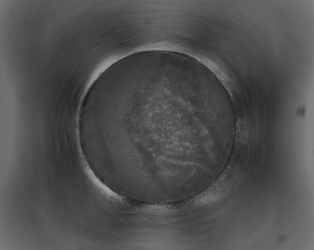 X0000097760998200803071251