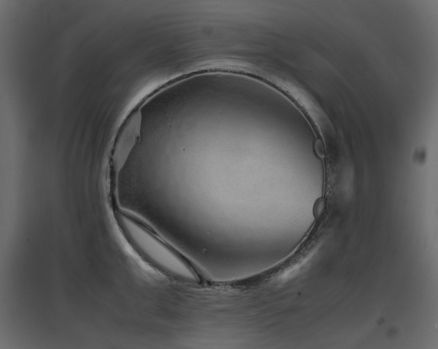 X0000097760999200803071251