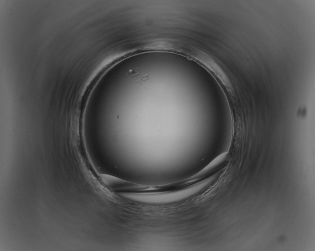 X0000097761000200803071251