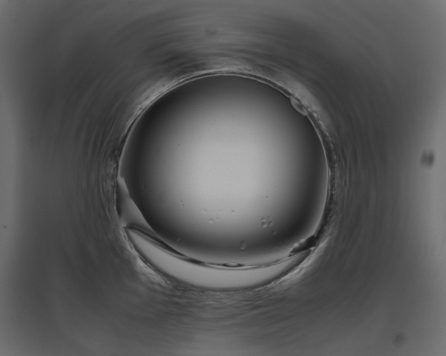 X0000097761001200803071250