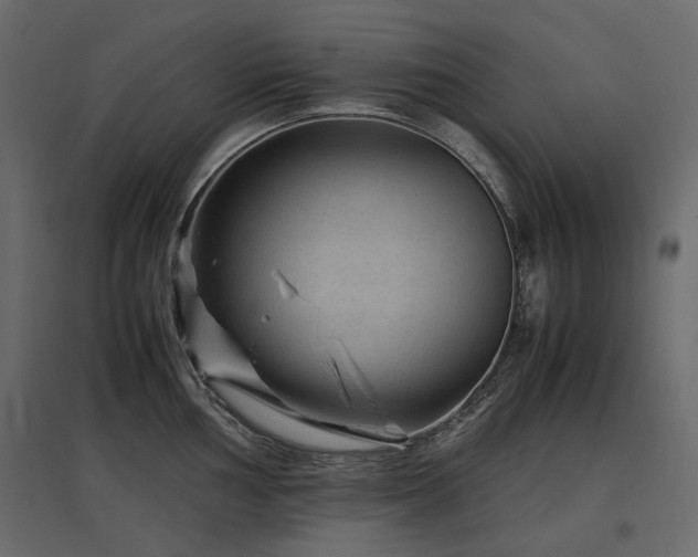 X0000097761002200803071250