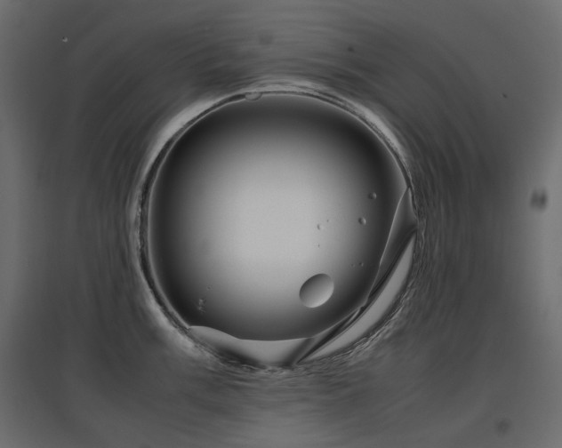 X0000097761003200803071250