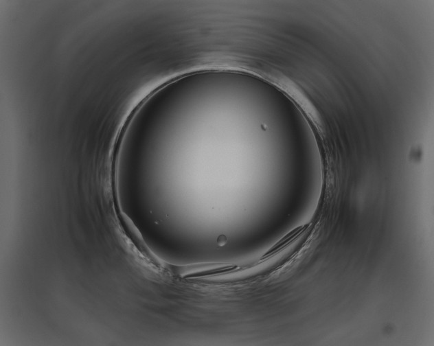X0000097761004200803071250