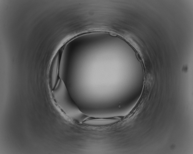 X0000097761005200803071250